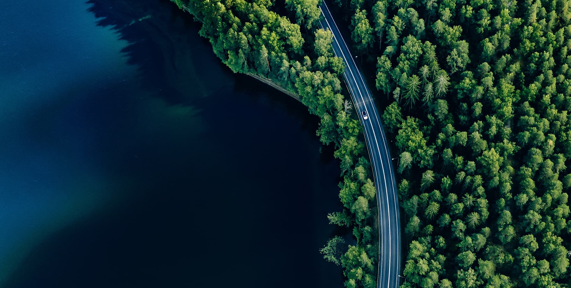 Go Green with Donpro